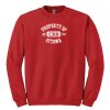 GILDAN® HEAVY BLEND™ CREWNECK SWEATSHIRT Thumbnail